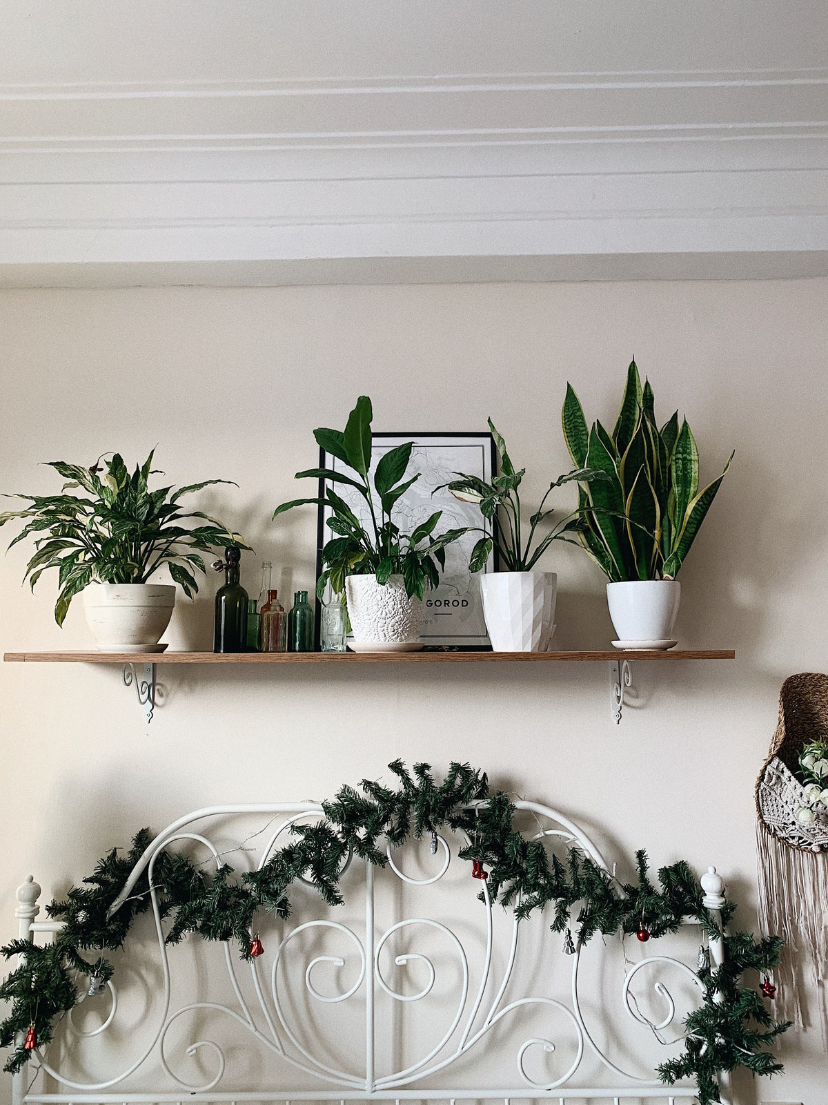 Vases & Greenery